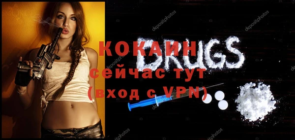 тгк Пересвет