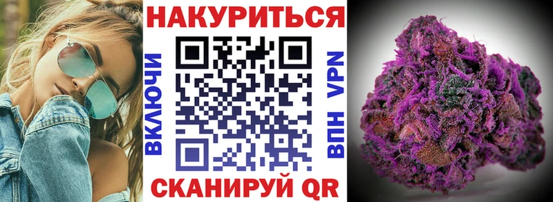 Бошки Шишки марихуана  Приморск 